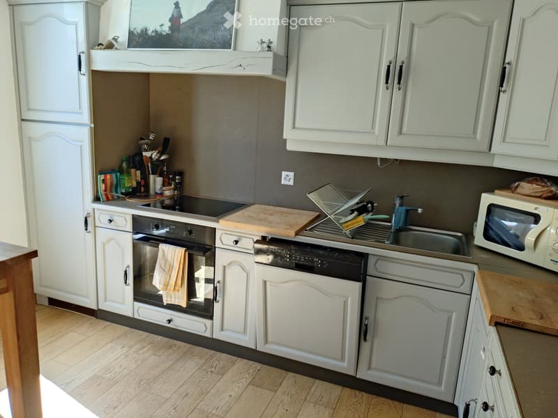 Bel appartement avec jardin et cheminée (3)