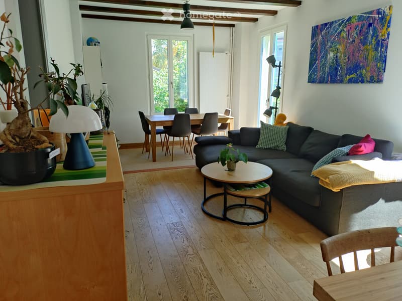 Bel appartement avec jardin et cheminée (2)