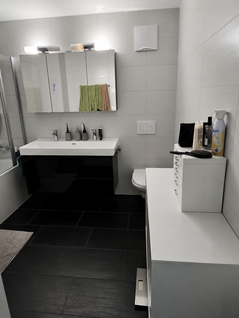 Charmant et spacieux appartement de 2.5 pièces (3)