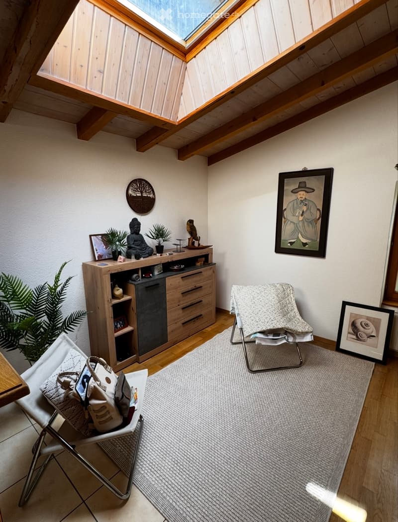 Magnifique appartement 60m2 meublé sous toit (3)