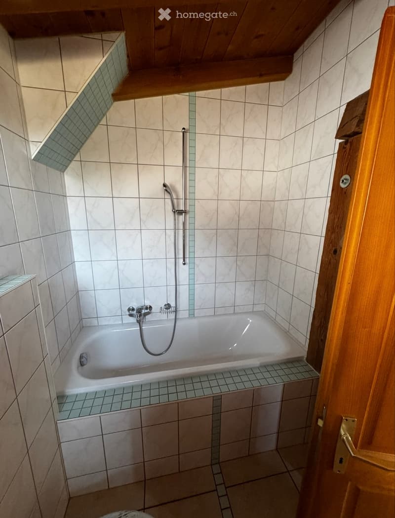 Magnifique appartement 60m2 meublé sous toit (5)