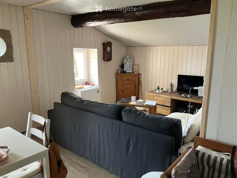 Chalet au Mayen de Conthey (VS) (4)