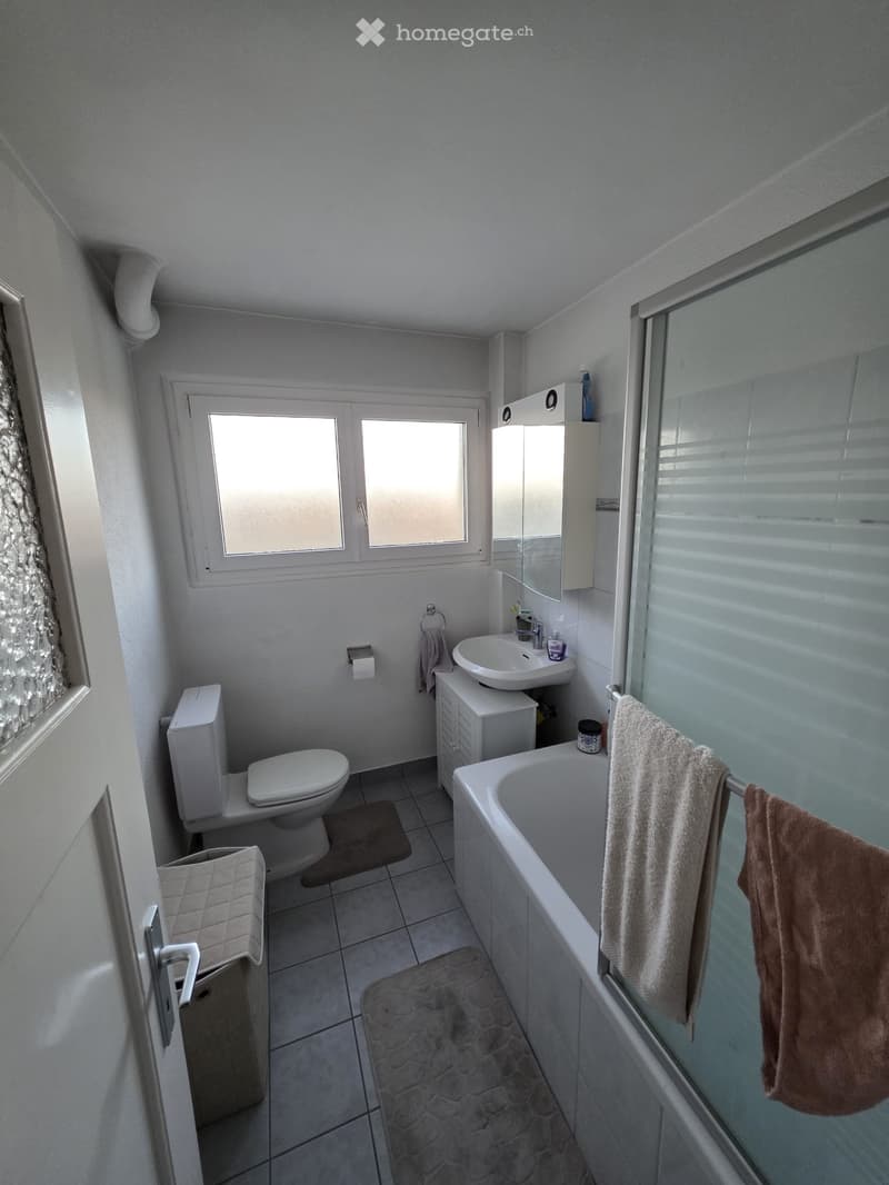 Magnifique appartement 3.5 pièces avec vue imprenable (5)
