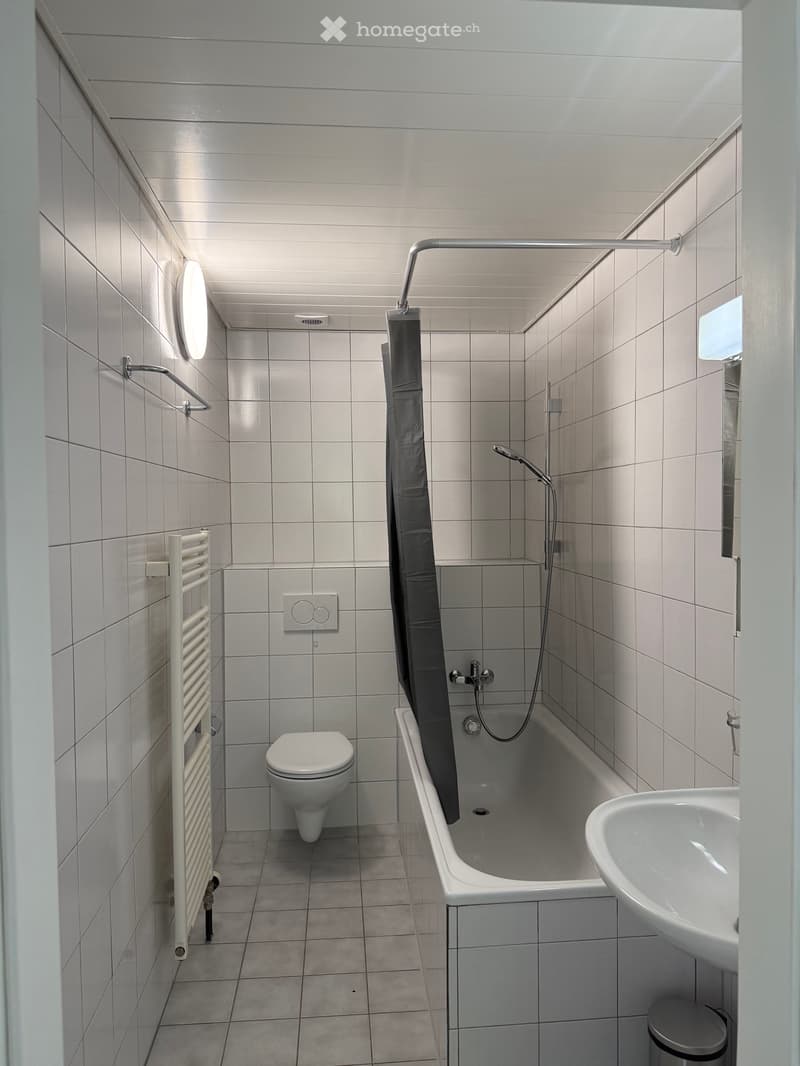 Chambre à louer à Crissier (4)