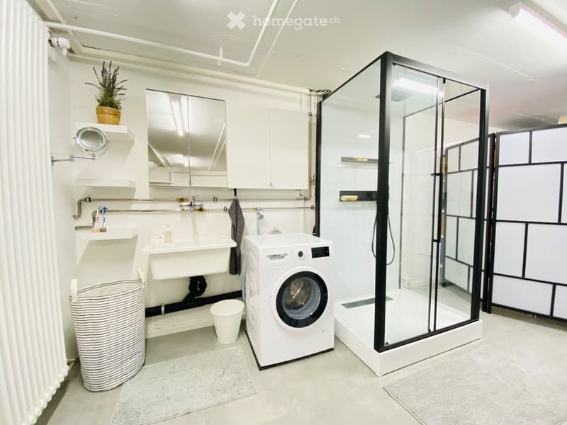 110m2 Loft-Duplex-Wohnung (5)