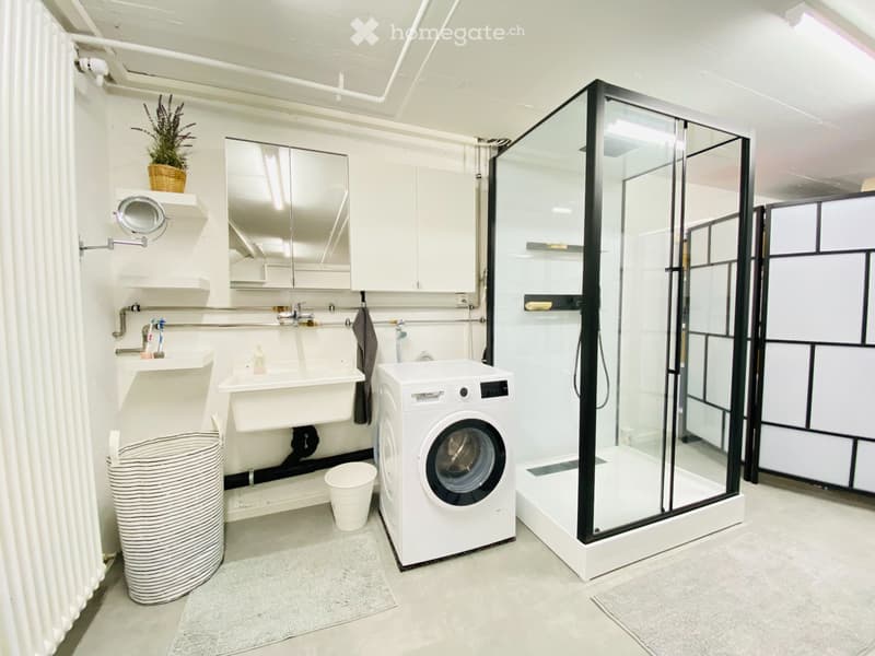 Loft en duplex de 110m2 (3)