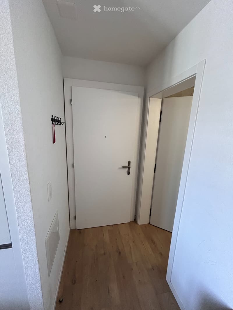 Studio moderne et fonctionnel à Morges (2)