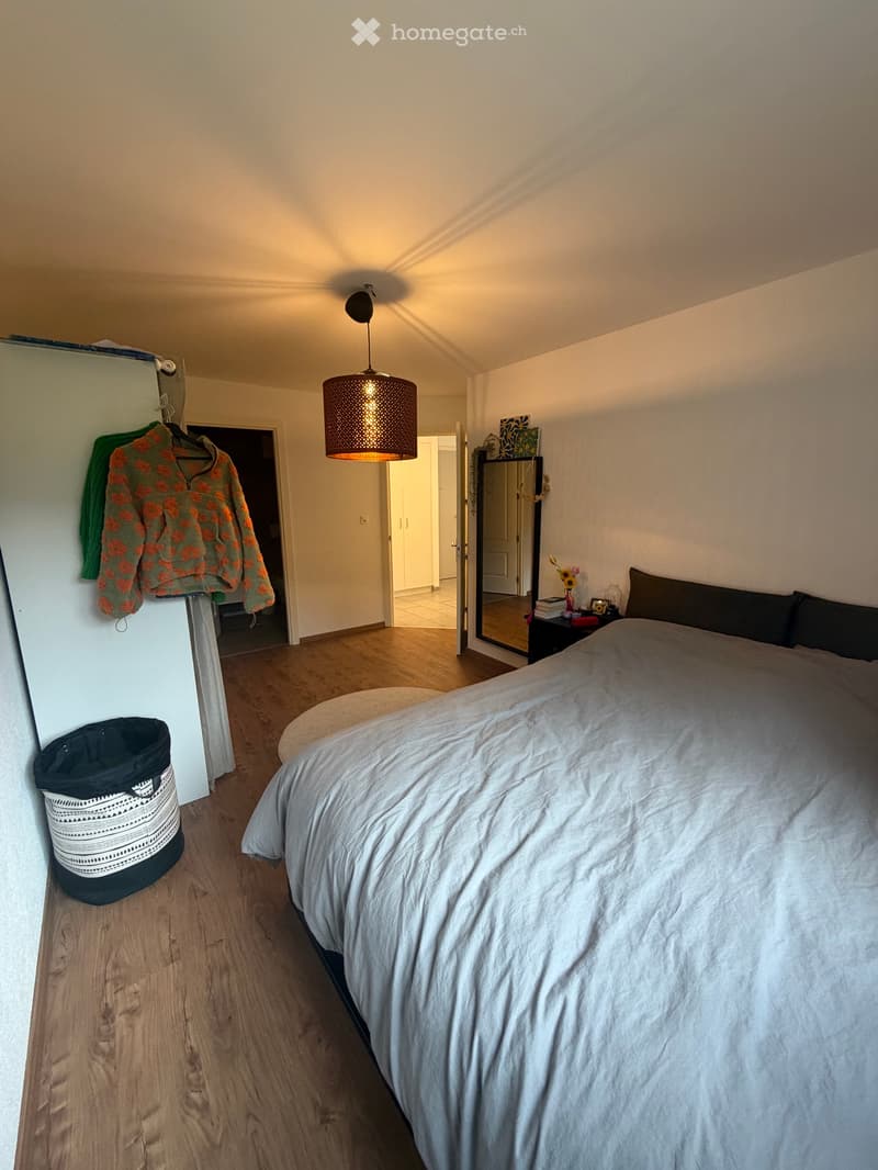 Apparemment 3.5 pièces au Rez (3)