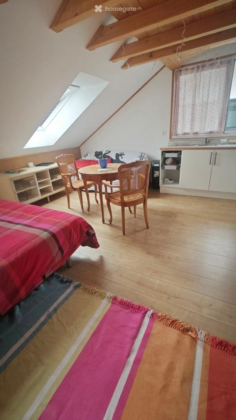 Studio avec mezzanine vue sur le Lac (2)