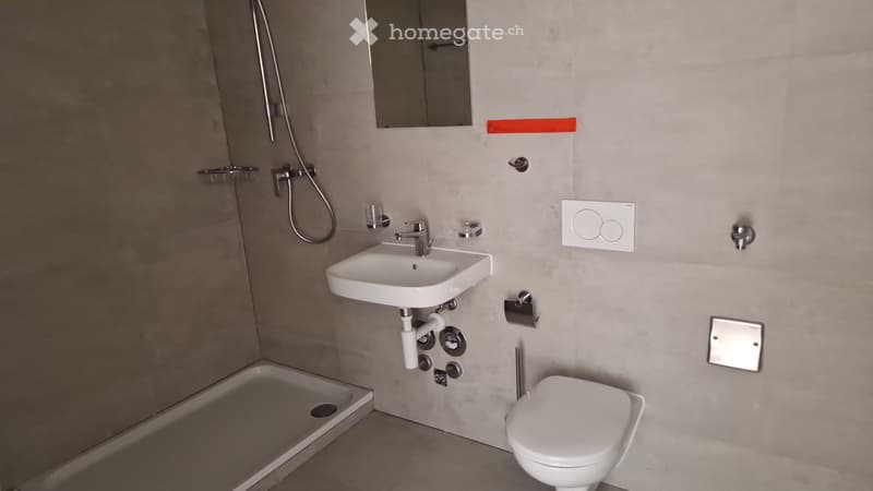 Tout neuf appartement 2 1/2 a louer (2)