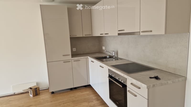 Tout neuf appartement 2 1/2 a louer (4)