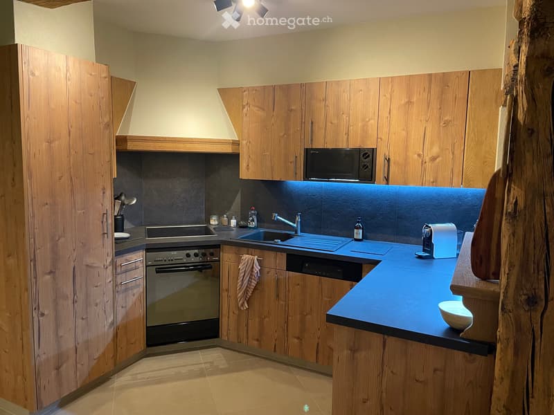 Location appartement 4,5 pièces meublé (ou pas) (4)