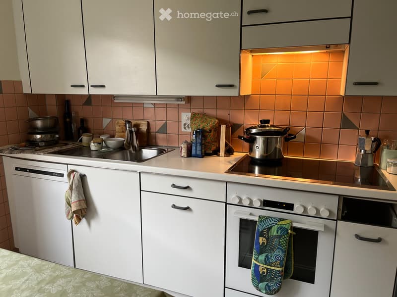 Sous-location 1er septembre appartement 2 chambres Nyon (3)