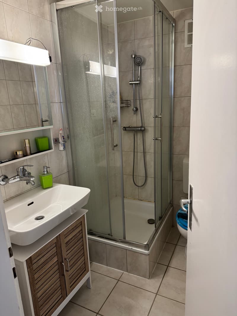 Magnifique duplex (5)