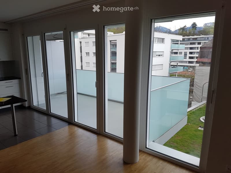 Appartement lumineux 3,5 pièces (3)