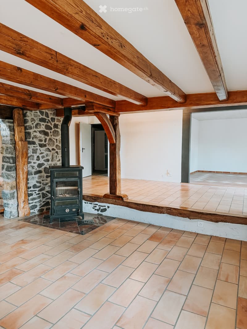 Ancienne ferme rénovée avec grand jardin (5)