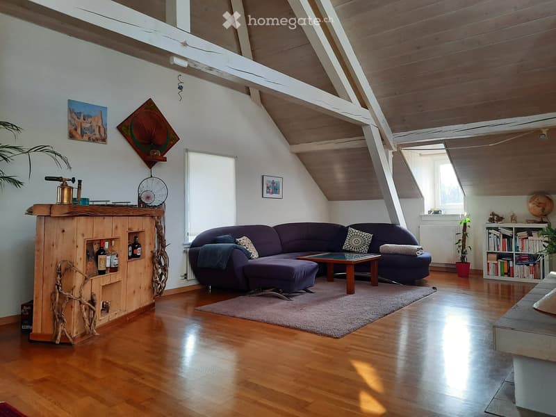 Charmant appartement centre de Colombier (4)