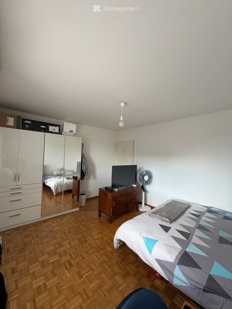 Chambre à louer dans un appartement meublé en colocation (5)
