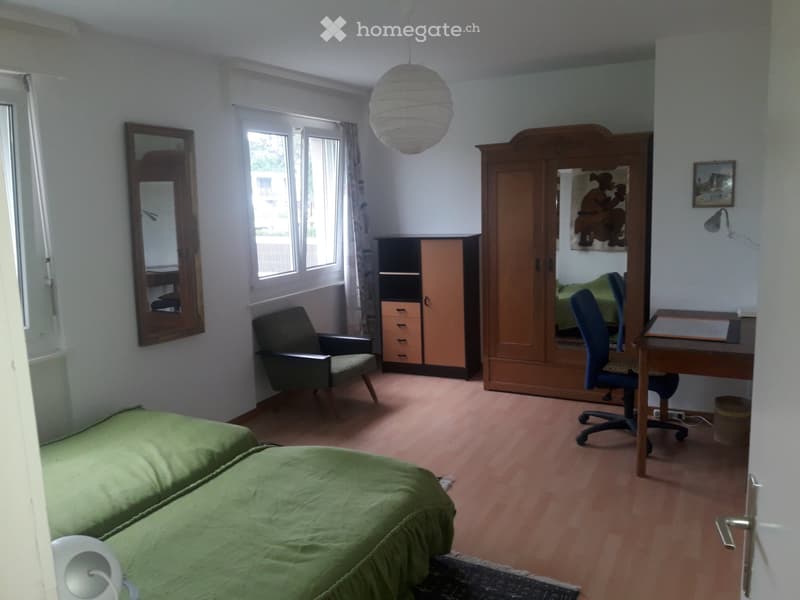 Chambre à louer dans un appartement meublé en colocation (4)