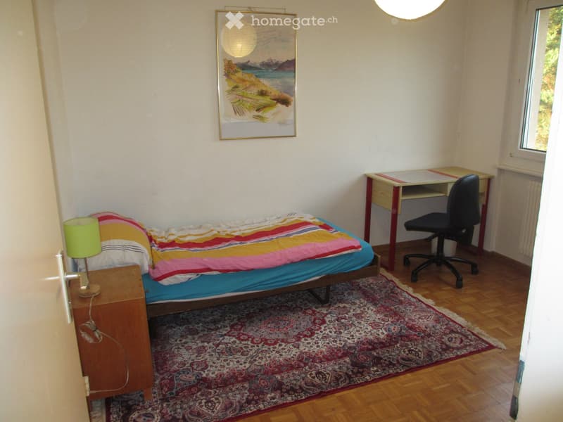 Chambre à louer dans un appartement meublé en colocation (3)