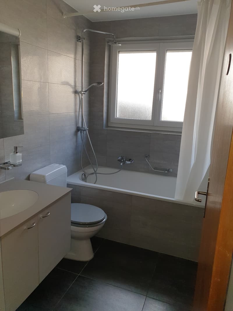 Appartement à louer à Develier (5)