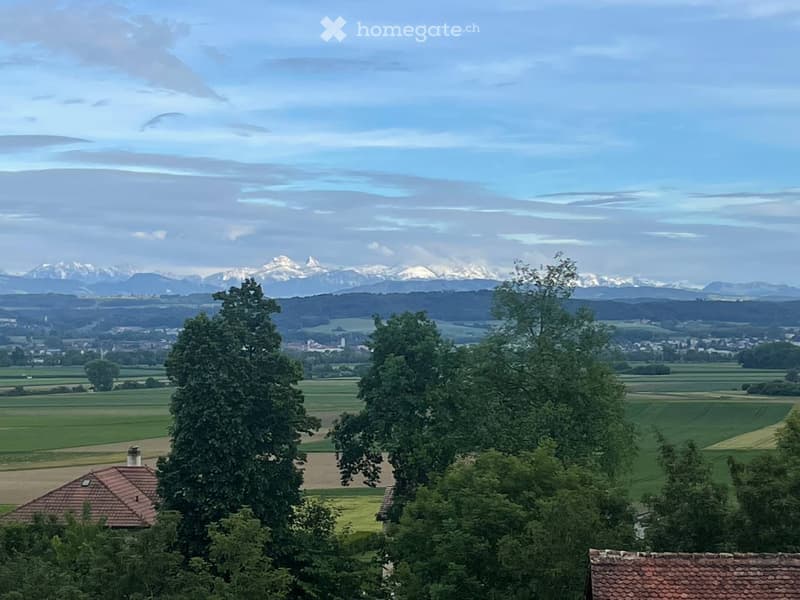 Appartement 4,5 pièces , quartier calme (5)
