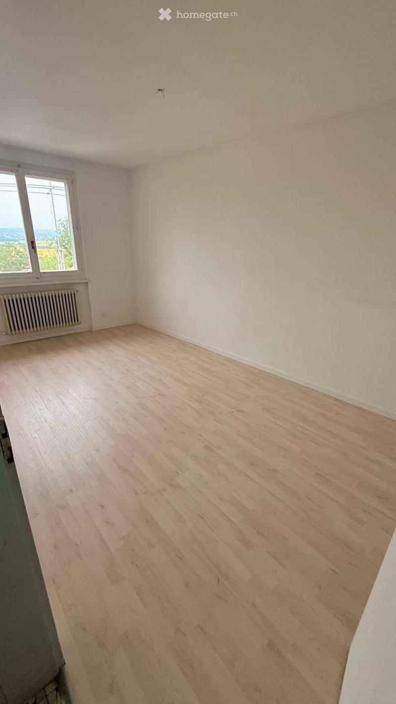 Appartement 4,5 pièces , quartier calme (3)