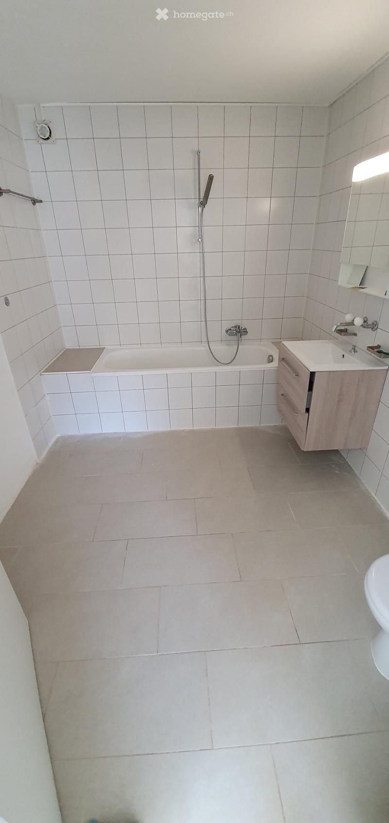 Appartement 4.5 pièces spacieux et lumineux (3)