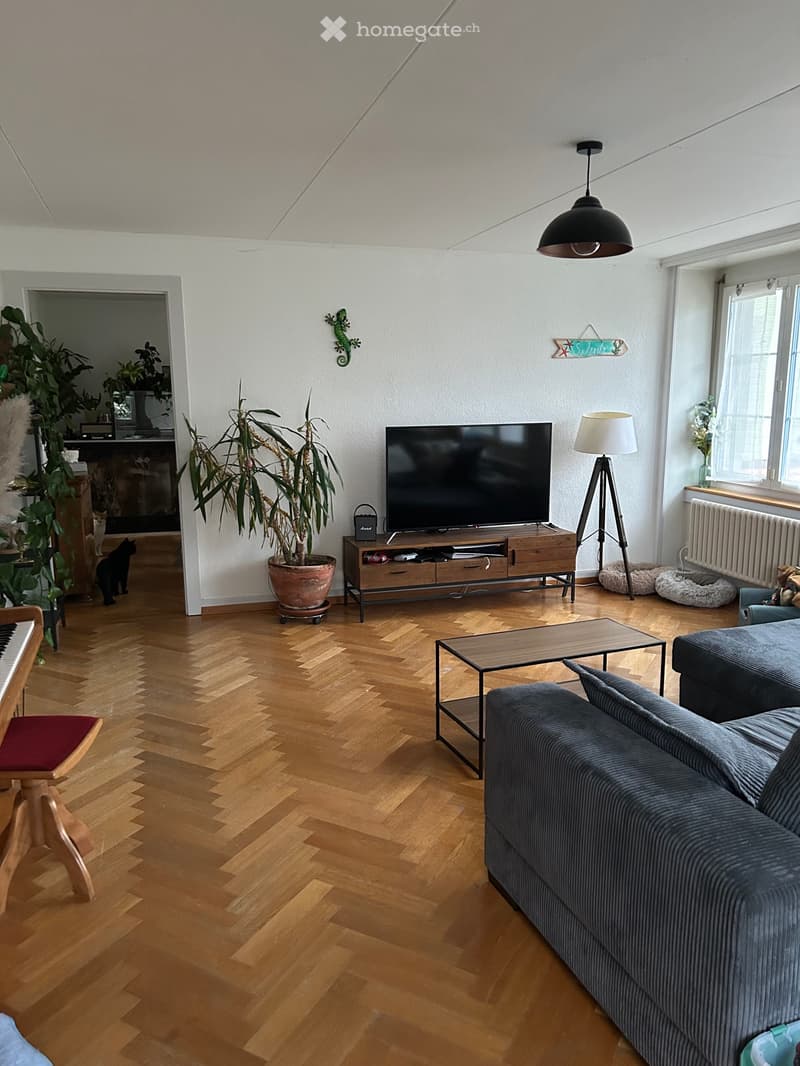 Appartement de 6 pièces à louer (3)