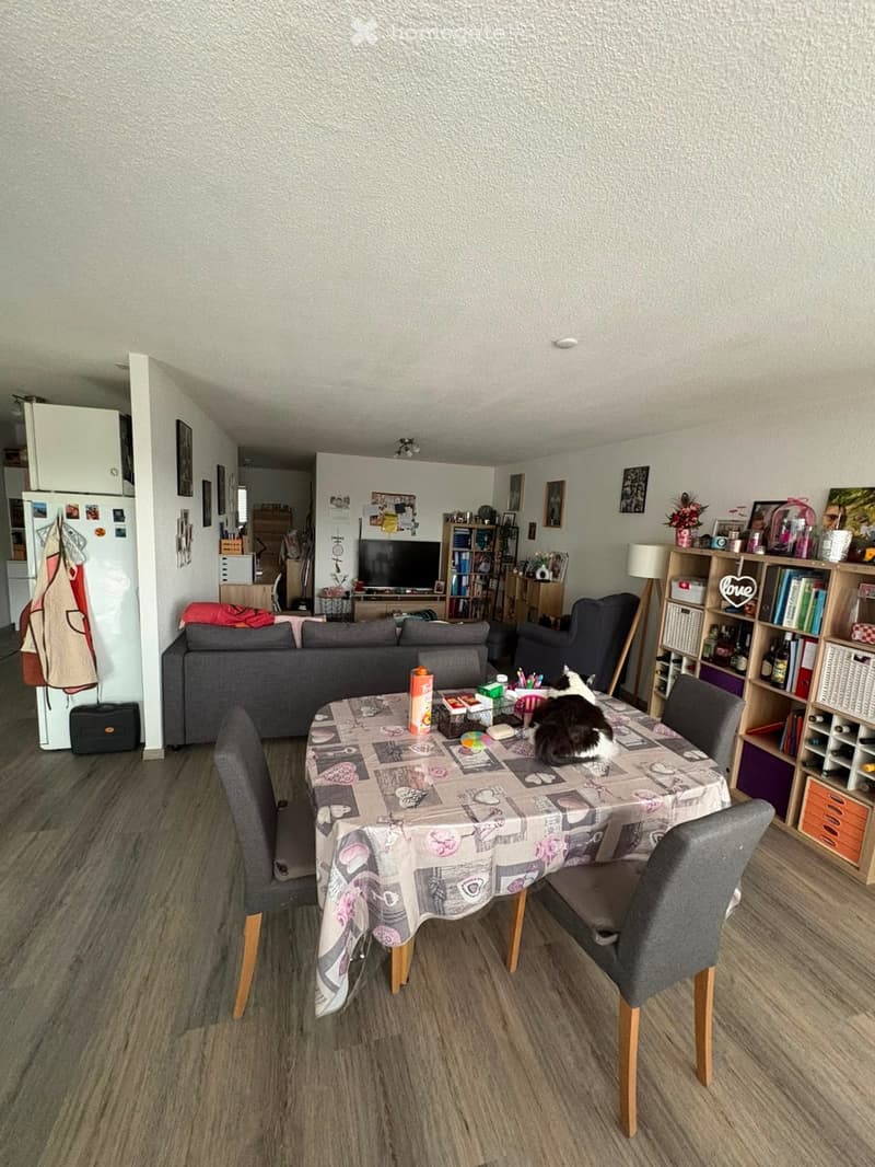Appartement 2.5 pièces (2)