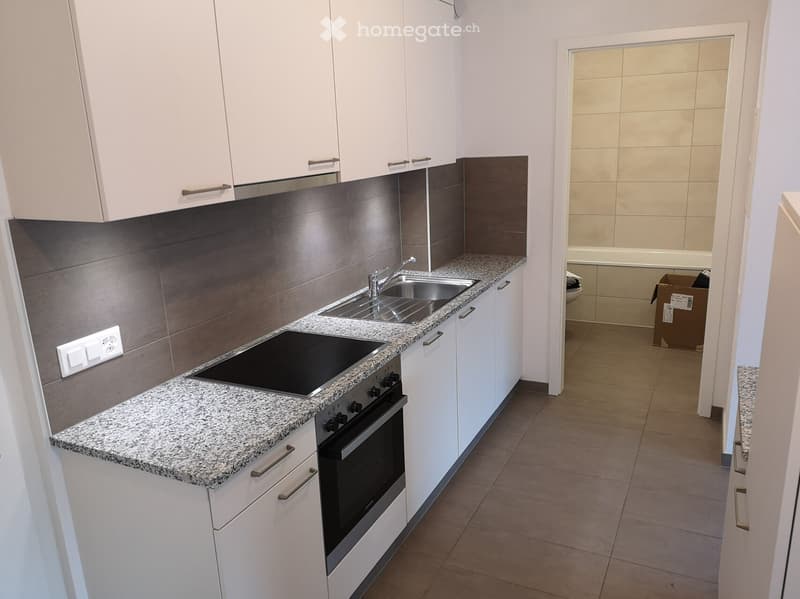 Superbe appartment 2.5 pièces moderne (2)