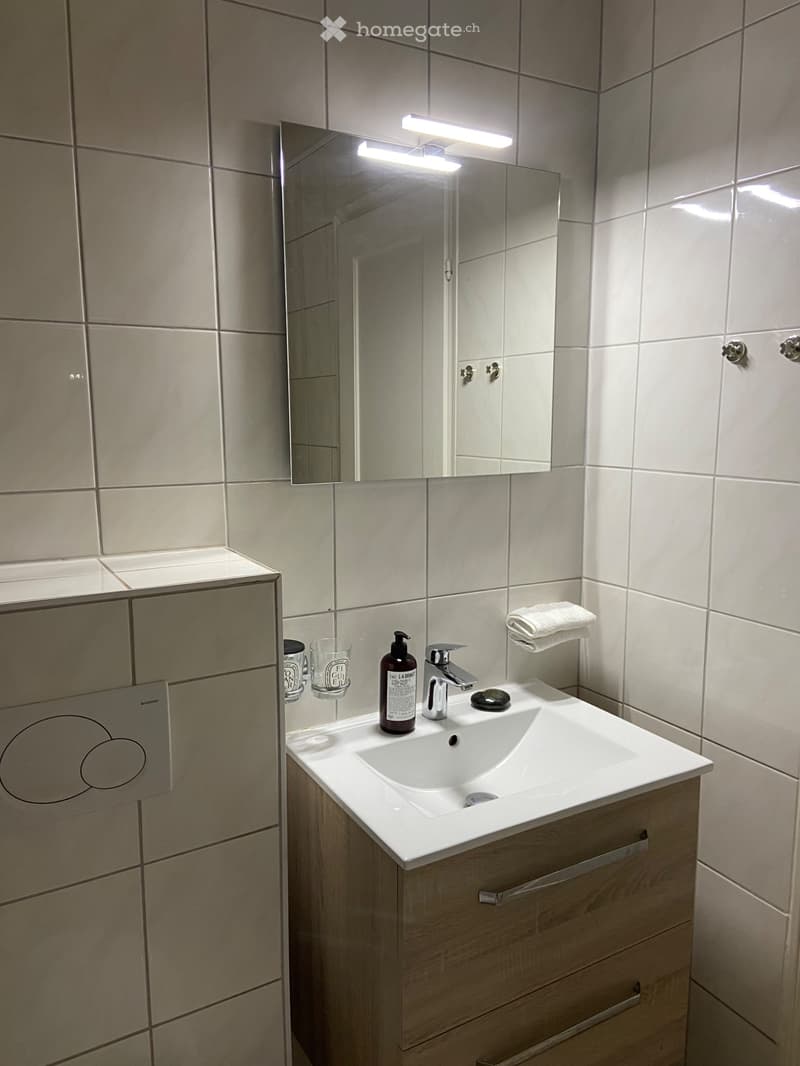 Appartement meublé à louer - Pl de l'Ours  -CHUV- Lausanne (3)