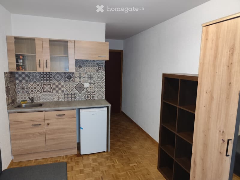 STUDIO MEUBLE A CHESEAUX (4)