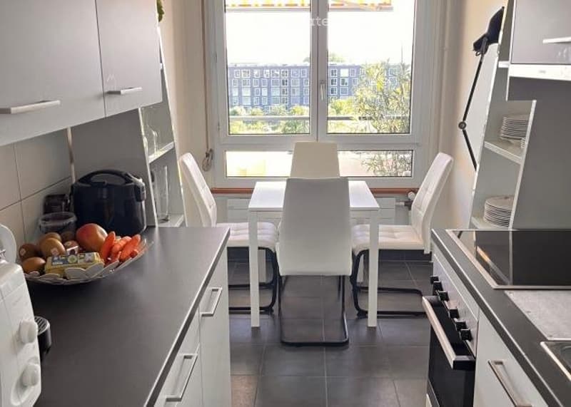 Chambre meublée à louer dans appartement de 95 m2 (5)