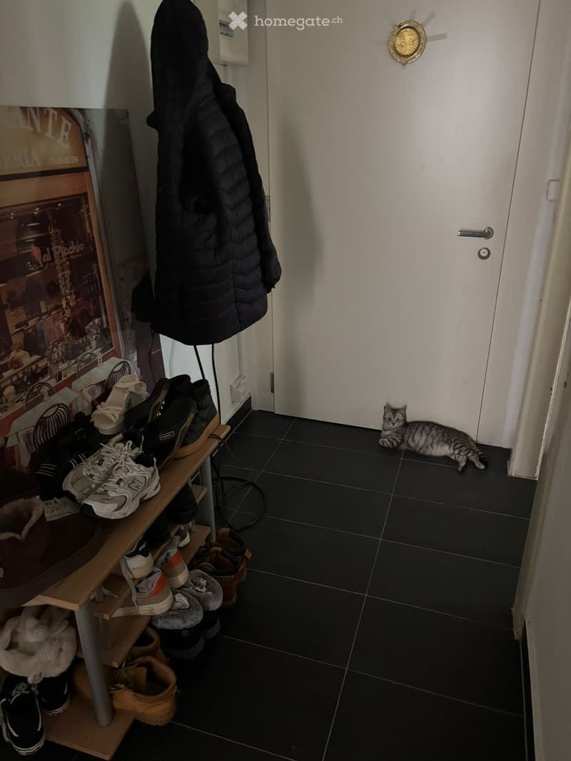 Sous location pendant deux mois (2)