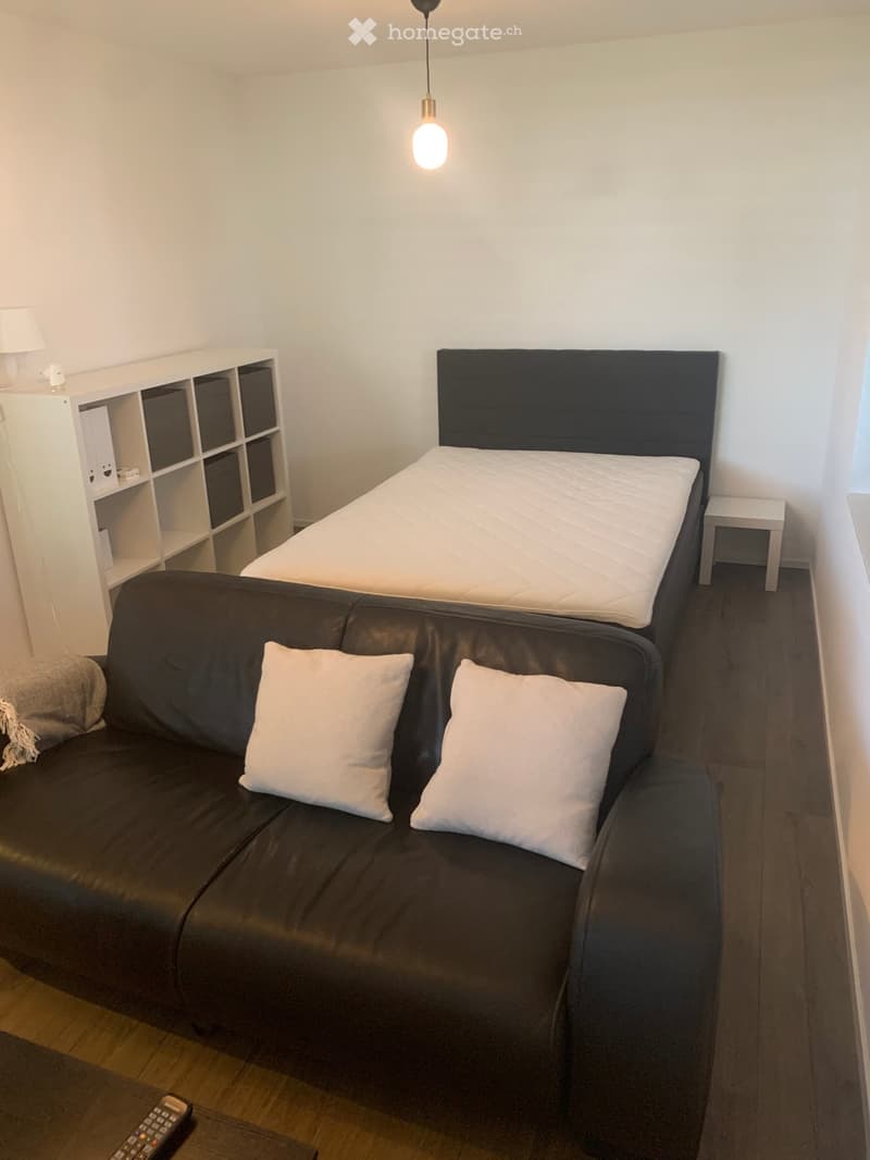 Grand studio moderne meublé (2)