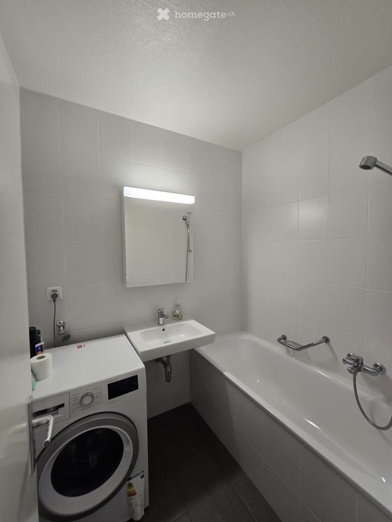 Appartement lumineux de 3,5 pièces à Châtelaine 87 (Genève) (5)