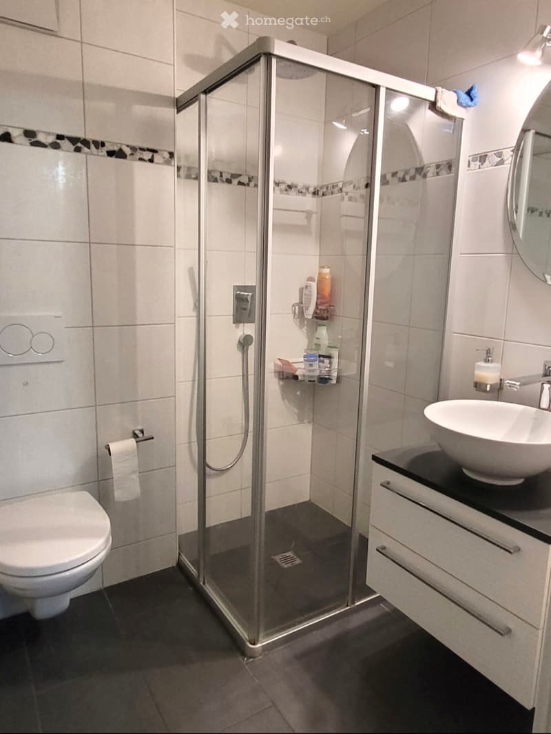 Chambre en colocation dans appartement neuf (3)
