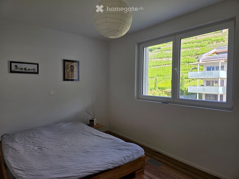 2,5 pièces moderne et lumineux avec grand balcon (2)