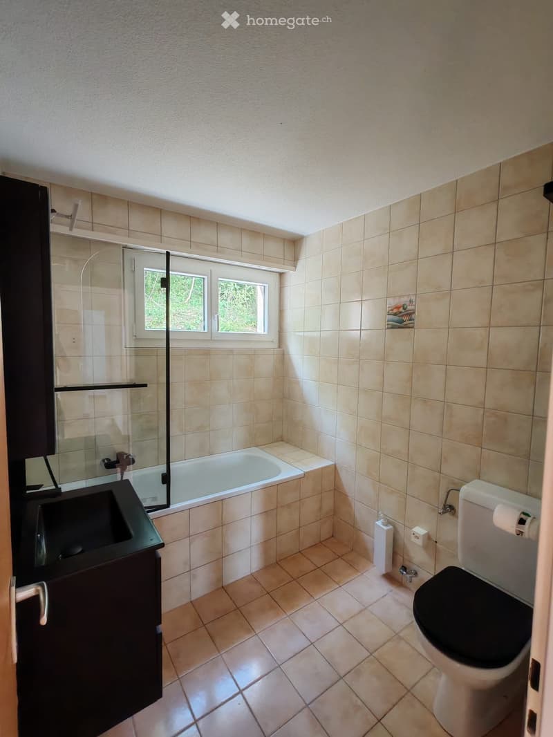 Lumineux 4.5 pièces avec vue panoramique (4)