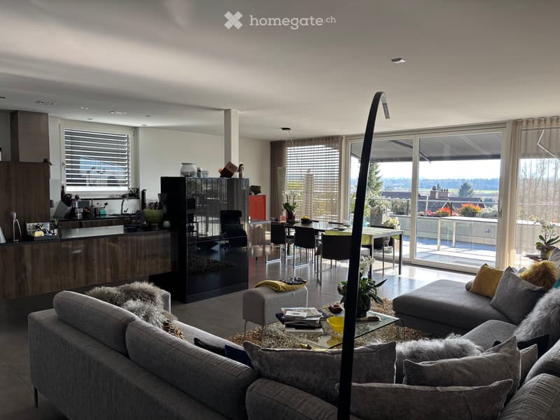 Splendide et vaste appartement (4)