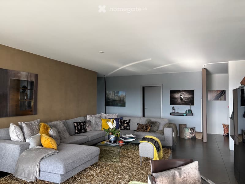 Splendide et vaste appartement (6)