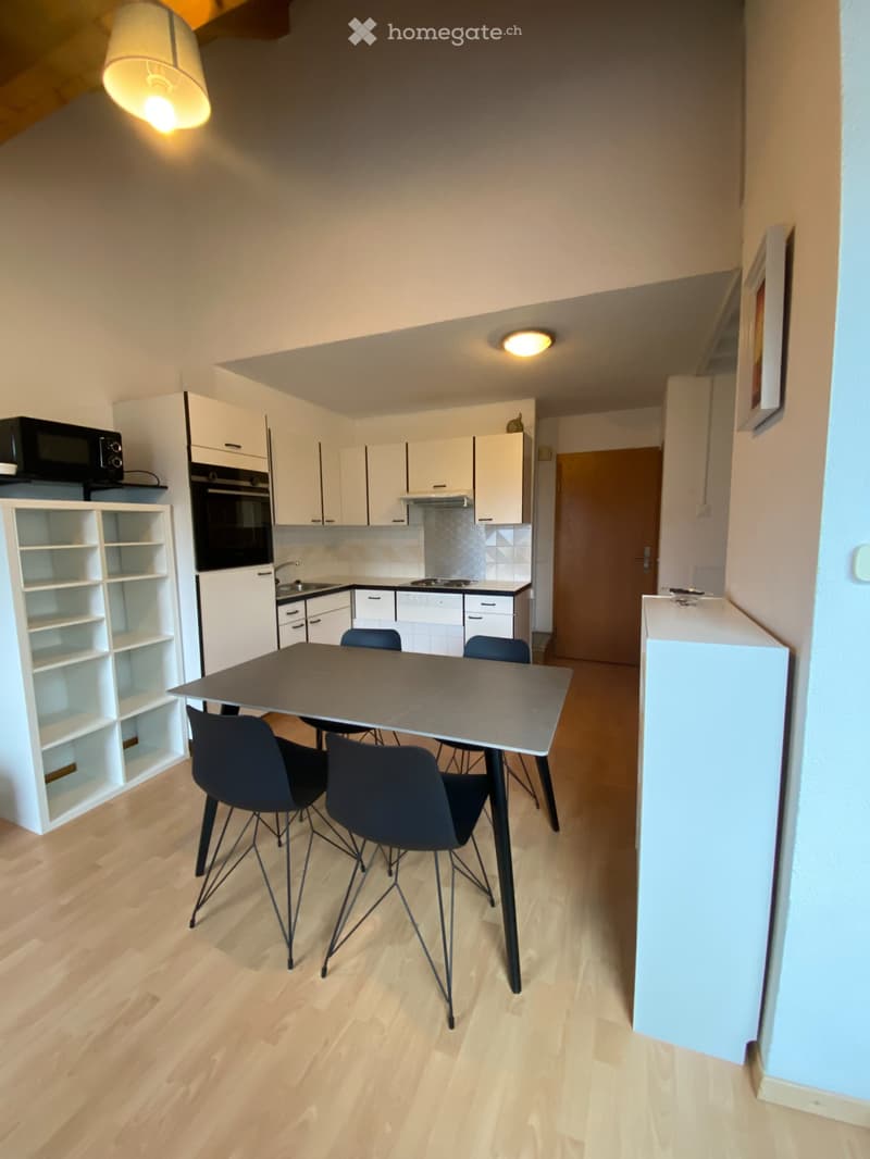 Appartement duplex meublé 2 pièces 42 m2 à Brétigny (3)