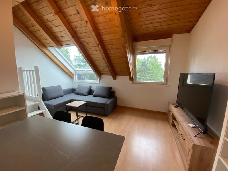 Appartement duplex meublé 2 pièces 42 m2 à Brétigny (1)