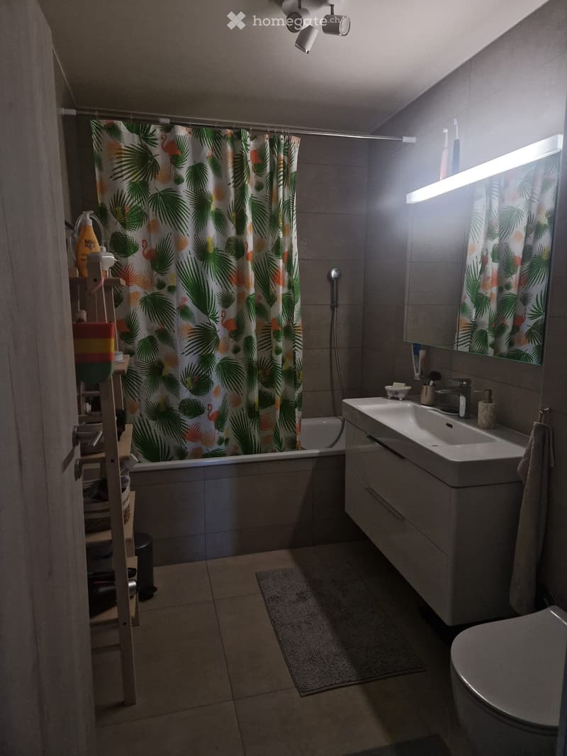 Magnifique appartement à louer à Sugnens (5)
