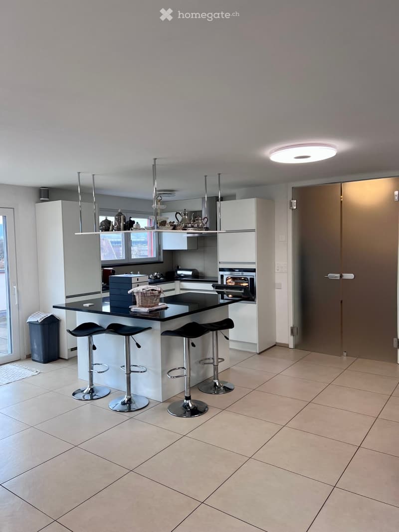 Attique moderne et lumineuse (2)