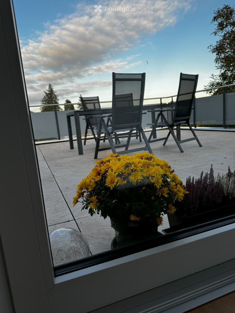 2 1/2 Zimmer Wohnung, neuwertig (4)