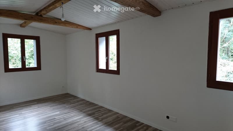 App. 4.5 pièce, dans le charment village de Curtilles, (2)