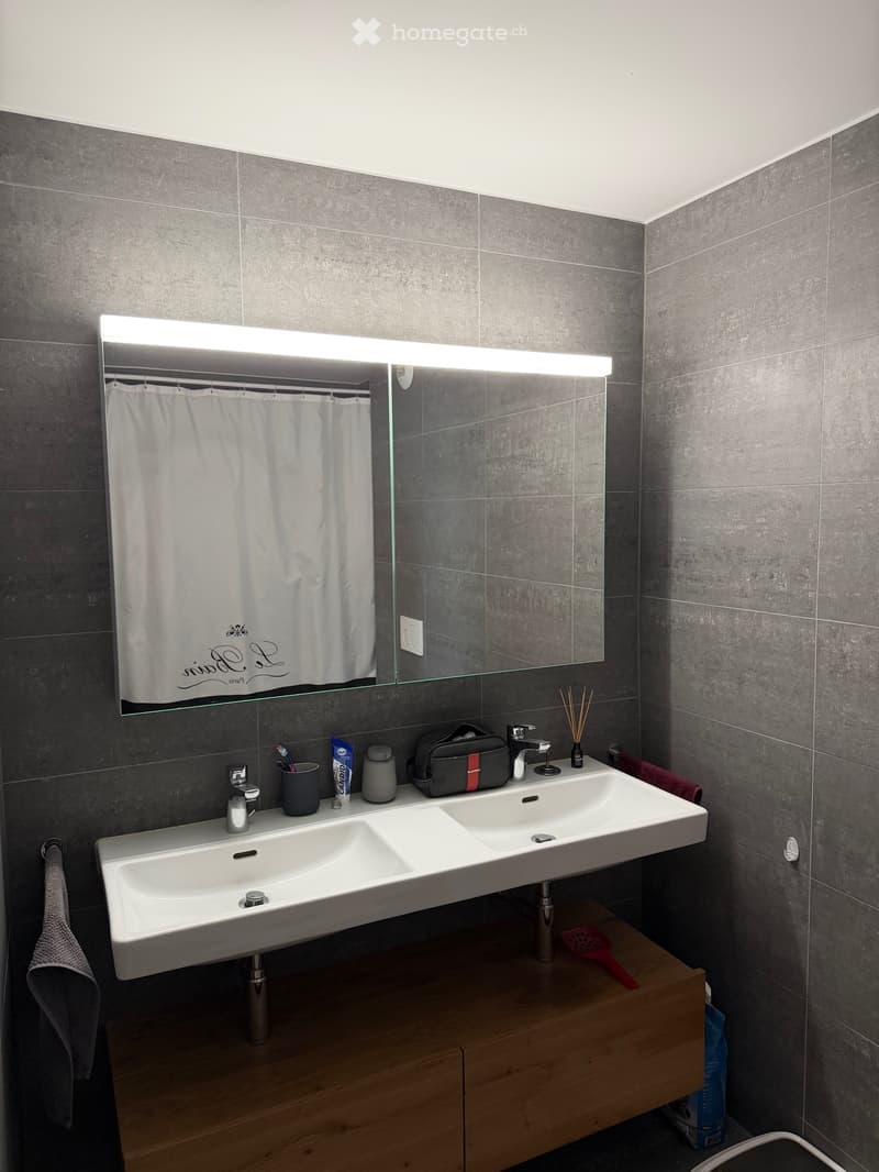 Bel appartement 3,5 pces (4)