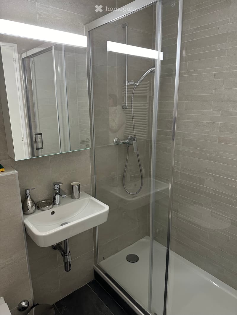 Appartement meublé 3 pièces (3)